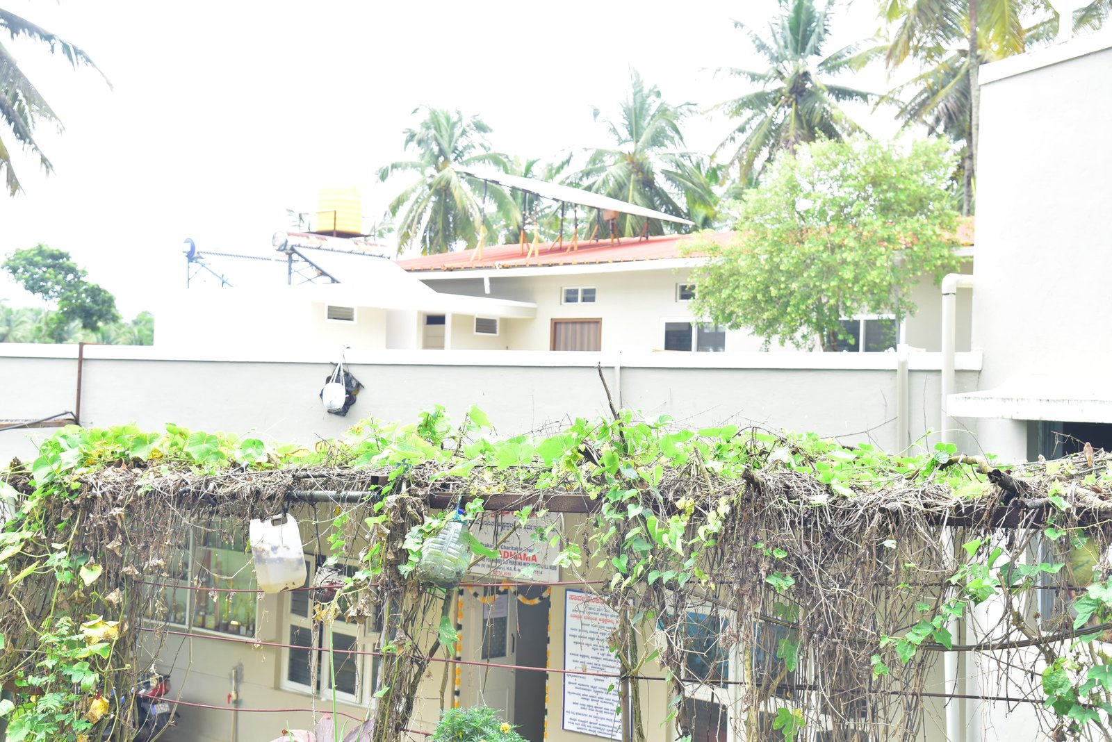 The main building seen from the garden